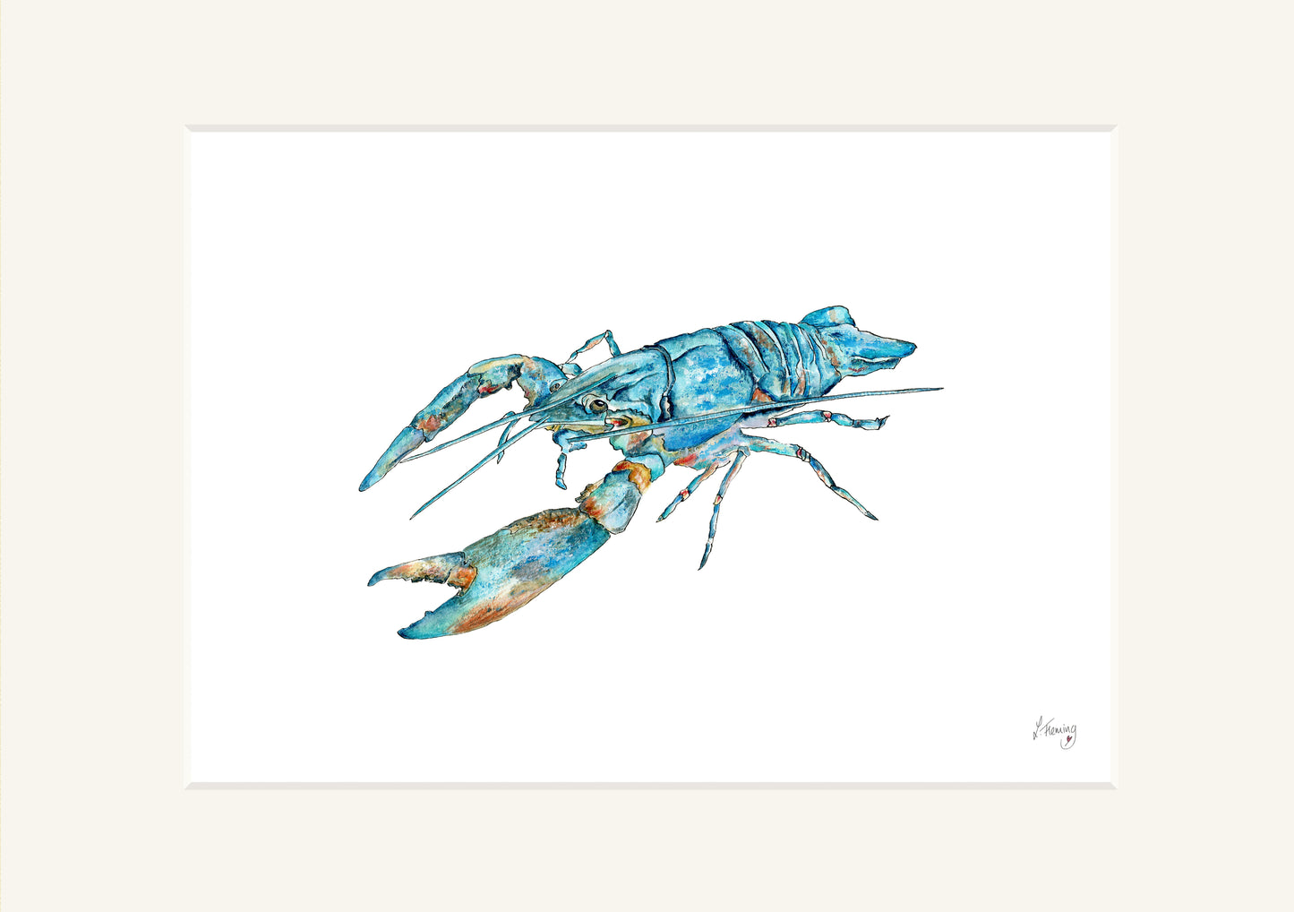 Lobster blues – print