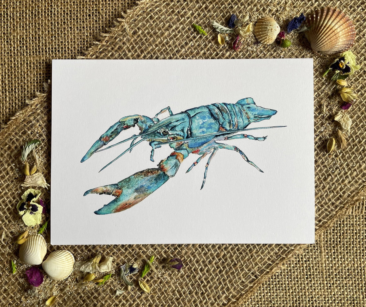 Lobster blues – card